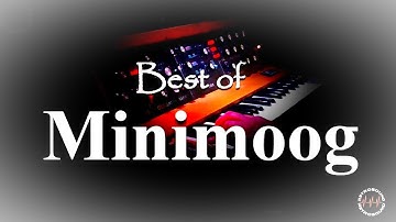 Best of Moog Minimoog Synthesizer ~ RetroSound Demo