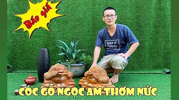 Hot! 2 cụ cóc tài lộc gỗ ngọc am | Báo giá mua cóc ngậm tiền gỗ ngọc am