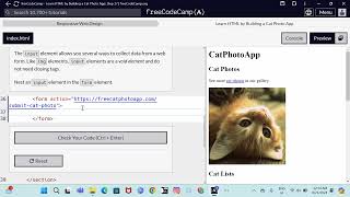 Responsive Web Design  Learn HTML by building a cat photo app step 37