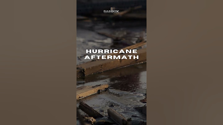 Hurricane Milton Aftermath in South Florida