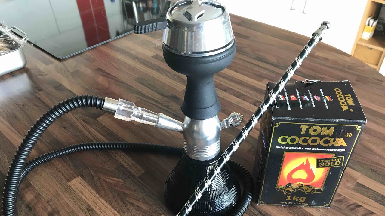 MINI CHICHA KALOUD - SHIAZO 