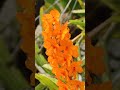 ánh mặt trời sáng mù sương