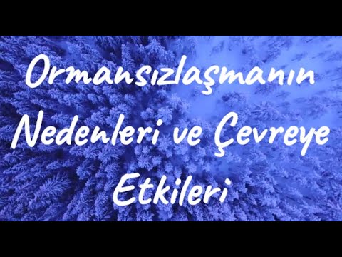 Video: Ormansızlaşmanın nedeni nedir?