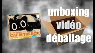Cat in a box unboxing 4K