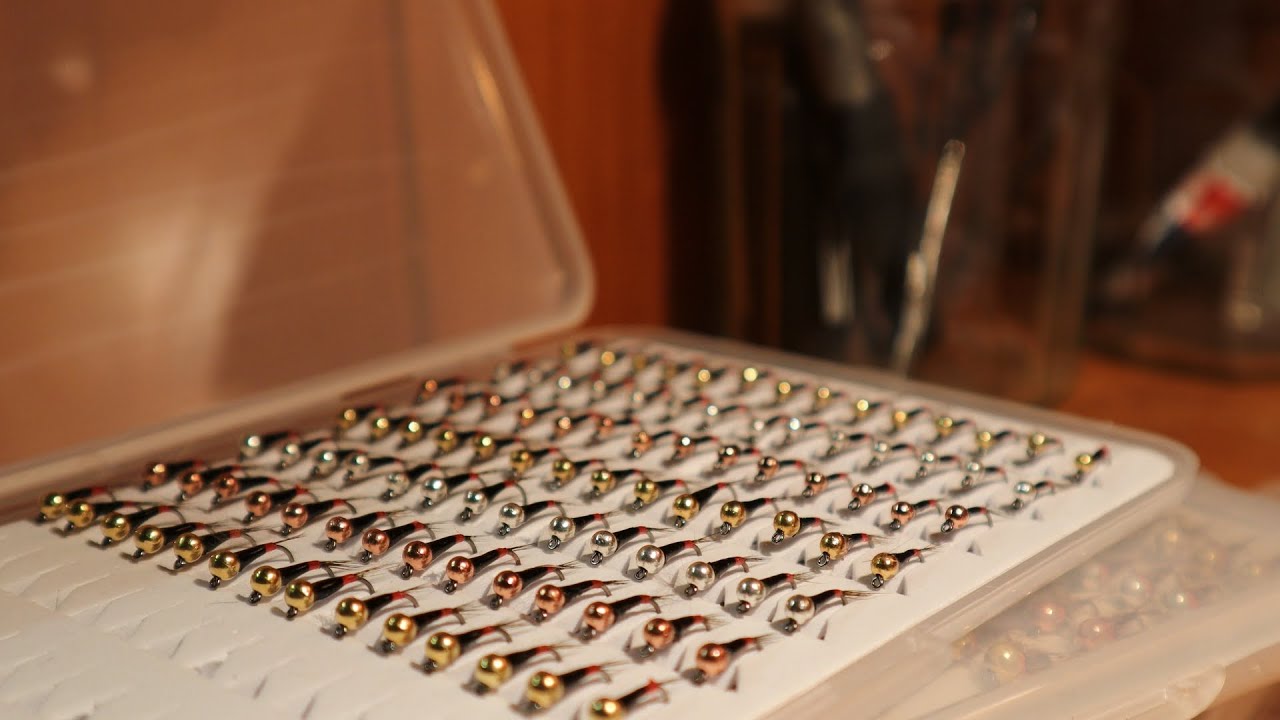 Perdigone Noire Cul Rouge