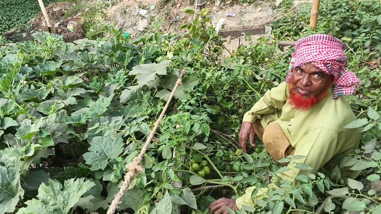 আব্বুর  সবজি বাগান থেকে কি কি সবজি নিয়ে আসলাম শশুর বাড়িতে 