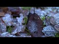 4k nature relaxation film  relaxing music  kabeer verma