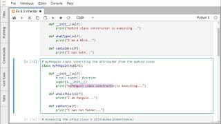 Celebrity 020 Tutorial 20 Python Inheritance Wealth