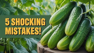 NEVER Make These 5 Cucumber Growing Mistakes Again!