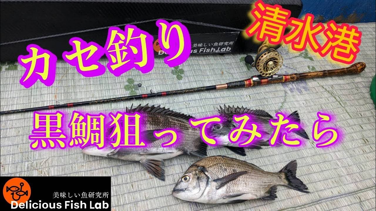 清水港カセ釣り黒鯛（チヌ）狙ってみたら・・・【山本釣り船店】 - YouTube