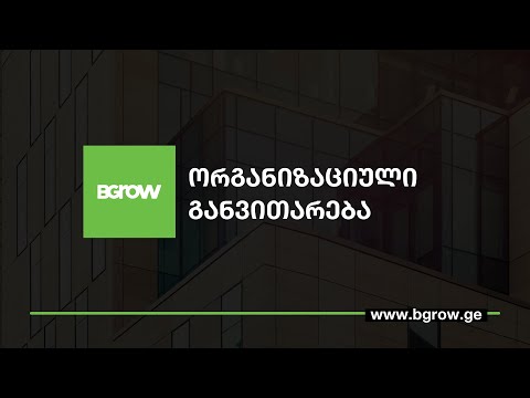 ორგანიზაციული განვითარება - BGROW-ს კომპეტენციის მენტორი ნინო ნიაური