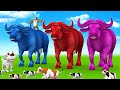 Paint the animals  giant magical color buffalo in jungle  magical farm animalss collection