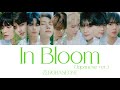 In Bloom (Japanese ver.) -ZEROBASEONE【和訳/日本語字幕/Rom】