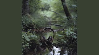 Mindful Harmonic Flow