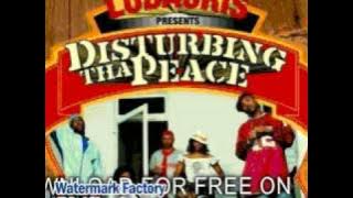 disturbing tha peace - n.s.e.w. - Golden Grain