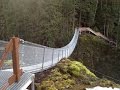 Building Elk Falls Suspension Bridge by the Rotary Club of Campbell River