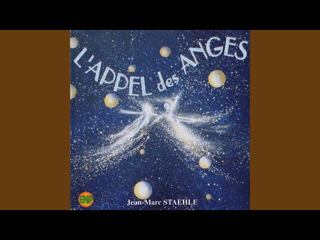 Jean-Marc Staehle - L'ermite