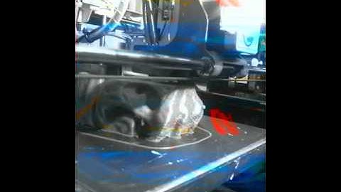 T-Rex Showerhead Timelapse DaVinchi XYZ with repetier .92 Firmware