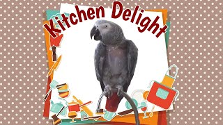 Einstein is a Kitchen Delight! by Einstein Parrot 1,771 views 3 weeks ago 3 minutes, 17 seconds