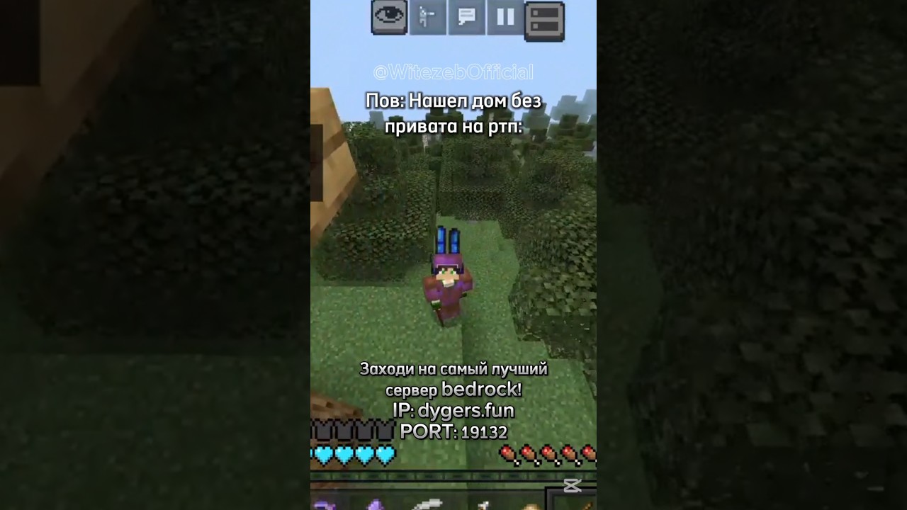 По этому учитесь приватить) 