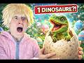 Un œuf de dinosaure dans le jardin !