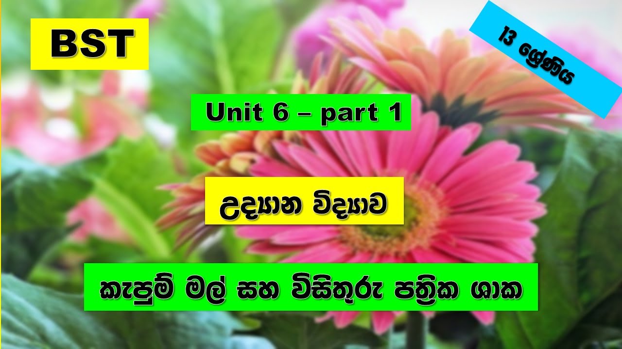 bio system technology | a/l bst sinhala | ජෛව පද්ධති තාක්ෂණවේදය |unit 6 ...