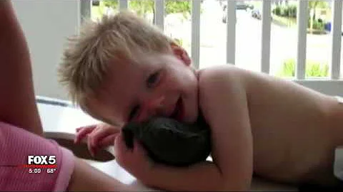Remembering Tripp Halstead