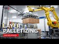 Robot Layer Palletising  - DGS Processing Solutions