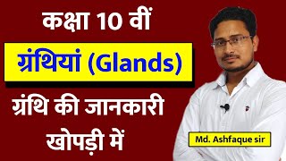 ग्रंथियां (Glands) ||  ग्रंथि का कार्य || importance of Glands  || important Granthi  ka naam ||