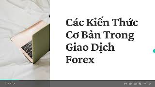 Các Kiến Thức Cơ Bản Trong Thị Trường Fx