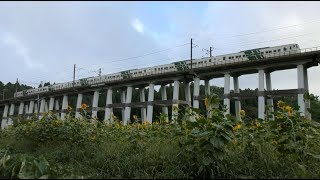 【新旧の特急車両】E257系500番台・255系・185系 走行音の比較【わかしお・新宿わかしお・ブルーオーシャン外房】