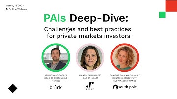 Principal Adverse Impact (PAI) Deep-Dive: Challenges and Best Practices for Private Market Investors