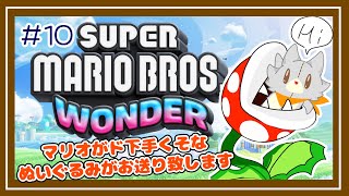 【SUPER MARIO BROS.WONDER】マリオがド下手なぬいぐるみ新しいマリオに挑戦する#10【スーパーマリオブラザーズ・ワンダー】