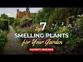 Natures perfumes 7 best smelling plants for your garden   gardening ideas