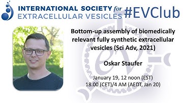Oskar Staufer: assembly and functional characterization of fully synthetic extracellular vesicles
