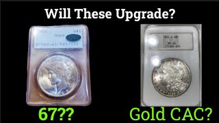 Will These Rattlers Upgrade?