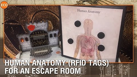Human Anatomy (RFID tags) for an escape room