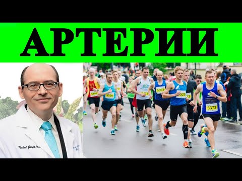 Артерии Веганов vs Артерии Бегунов - Доктор Майкл Грегер