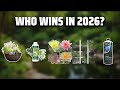 The Top 5 Best Pond Plants in 2026 - Must Watch Before Buying!