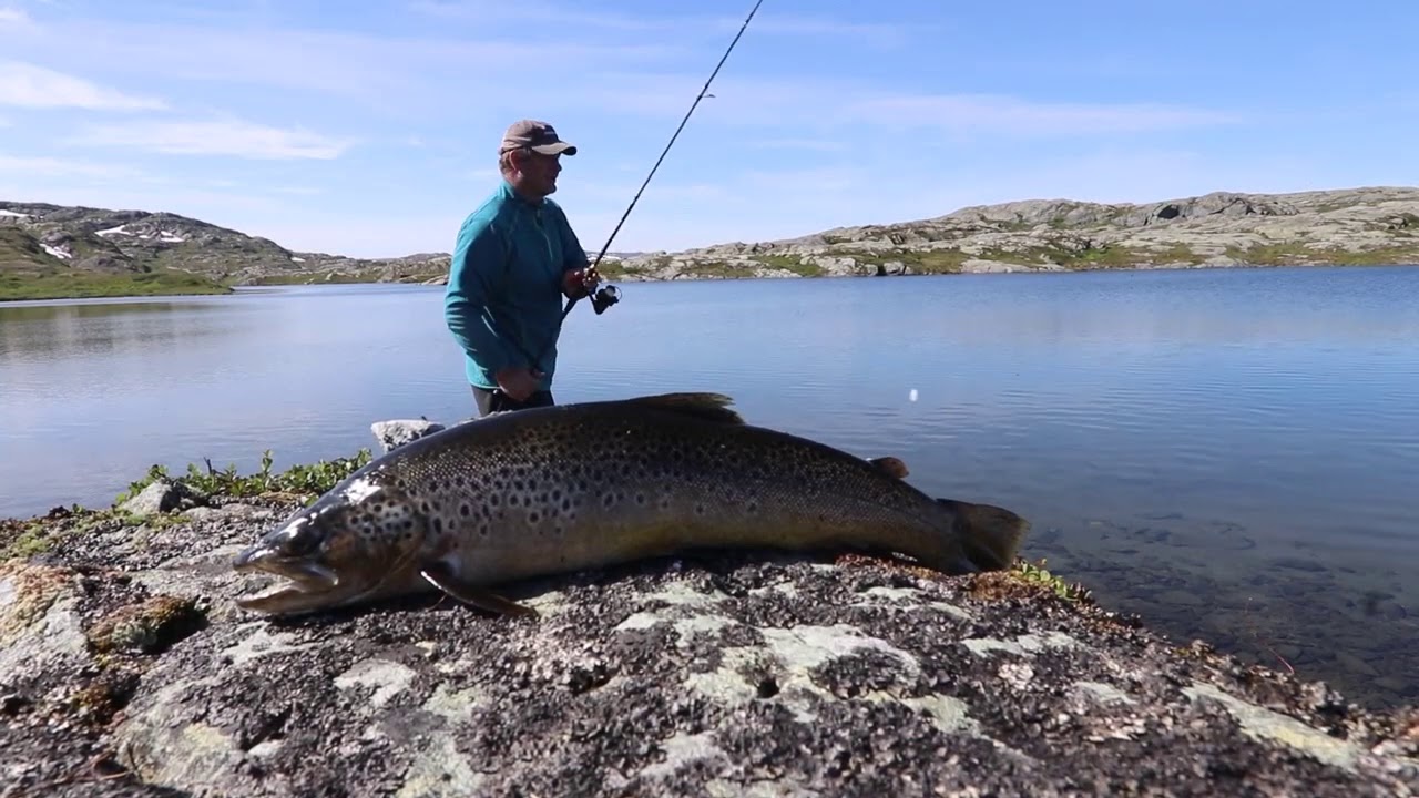 Ørretloffing i fjellheimen  - Del 1