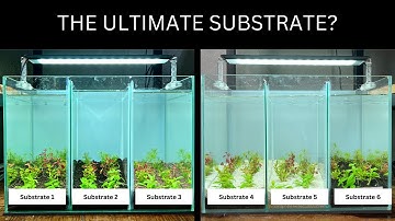 I WANT TO FIND THE BEST PLANTED TANK SUBSTRATE! NEW EXPERIMENT!