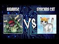 Exia(Gigavise) vs Dionbrat(Synchro Cat) | Yugioh Edison Format | Dueling Book