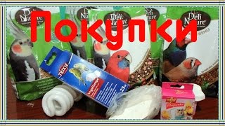 Покупки из зоомагазина для попугаев корелл и воробьев. Воробей Тоша любопытствует.