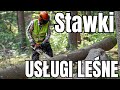 STAWKI NA USŁUGI LEŚNE || Okiem ZULa &amp; GWARANCJE24.PL
