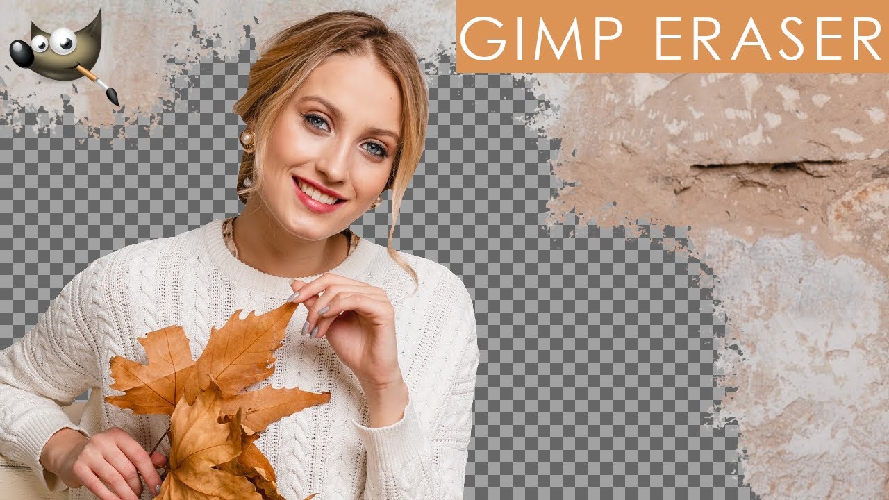 Why The Eraser Tool Is Not Working In Gimp And How To Fix It ...