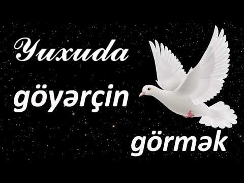 Yuxuda göyərçin görmək ☾✵ Qısa Yuxuyozma