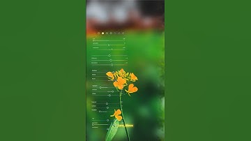 LightRoom editing tutorial and blurred background #photoroom #tutorial #blur #editing #photoediting