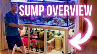 Full Tour  Dream Reef Sump and Filtration System