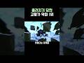 체인소맨)고평가된 악마 1위