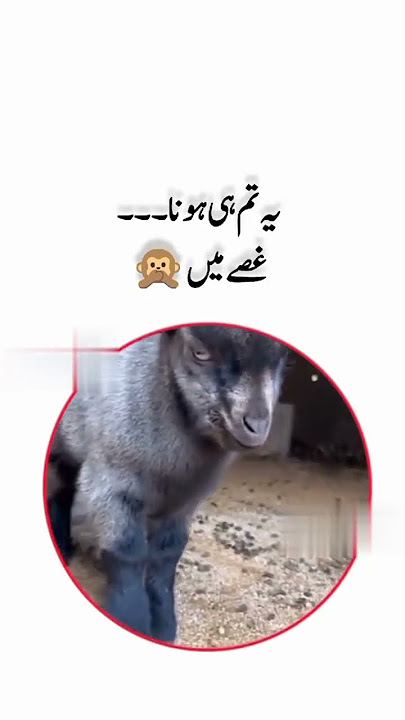 ITS YOU 😂🤣🤣😂😂🤣 https://youtu.be/_XBVWlI8TsQ?si=shCQvx9P3mucR1mF